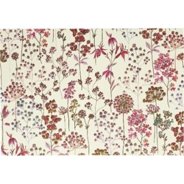 Peter Pauper Press Wildflower Meadow Note Cards