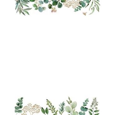 Peter Pauper Press Eucalyptus Stationery