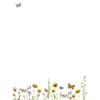 Peter Pauper Press Wildflower Garden Stationery
