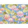 Peter Pauper Press Water Lilies Note Cards