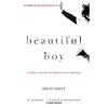 David Sheff Beautiful Boy: A Father's Journey Through His Son's Addiction