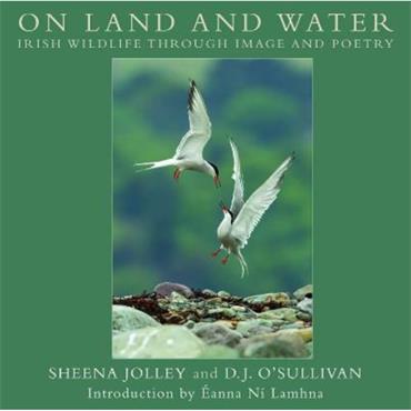 Sheena Jolley On Land And Water: Irish Wildlife Through Image And Poetry