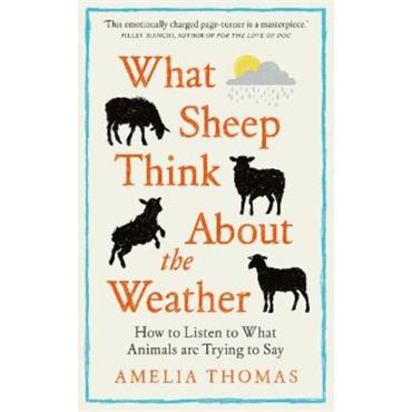 Amelia Thomas What Sheep Think About the Weather