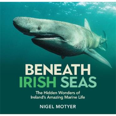 Nigel Motyer Beneath Irish Seas