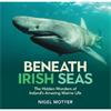 Nigel Motyer Beneath Irish Seas