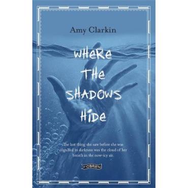Amy Clarkin Where The Shadows Hide