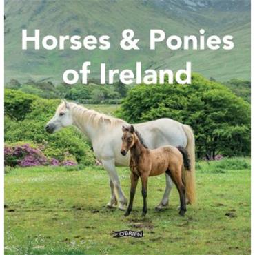 Sarah O'Connor Horses And Ponies Of Ireland