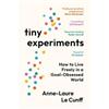 AnnE-Laure Le Cunff Tiny Experiments