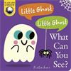 Dee Costello Little Ghost! Little Ghost! What Can You See?