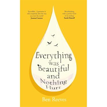 Ben Reeves Everything Was Beautiful And Nothing Hurt