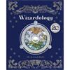 Dugald Steer Wizardology