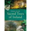 Christine Zucchelli Sacred Trees of Ireland