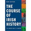 T.w. Moody Course Irish History