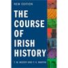 T.w. Moody Course Irish History