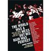 Janine Warren The World Was a Mess But His Hair Was Perfect : The Last Indie Music Scene 2000-2010