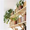 BG Home Picton Pine Board 18mmx1800mmx600mm