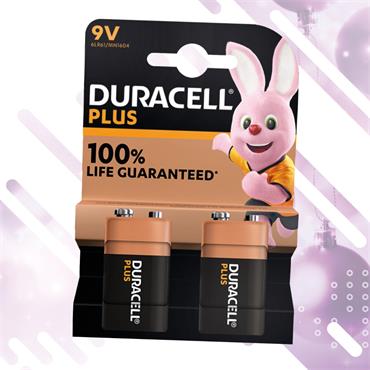 9V Battery Twin Pack