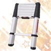 3m Telescopic Ladder