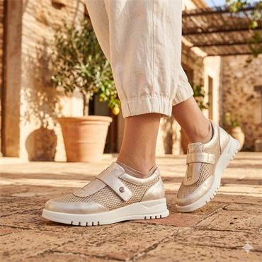 PITILOS STRAP SHOE 20303 - GOLD
