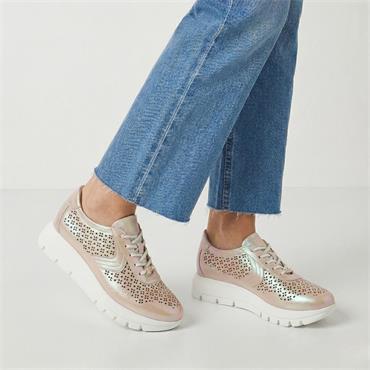 JOSE SAENZ 2314 - ROSE