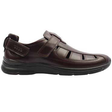 ECCO 511764 SHOE - BROWN
