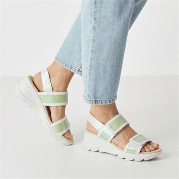 JOSE SAENZ 5329 - WHITE GREEN