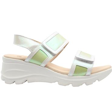 JOSE SAENZ 5329 - WHITE GREEN