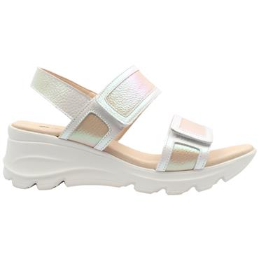 JOSE SAENZ 5329 - WHITE ROSE