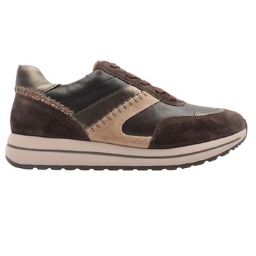 GABOR 603101 LACED SHOE - BROWN MULTI