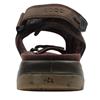 ECCO 822184 VELCRO SANDAL - BROWN