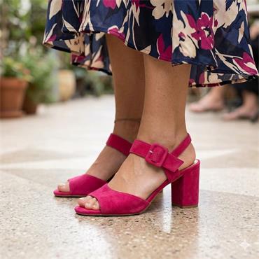 LUNAR FLJ009PHILLIPA SANDAL - FUSHSIA
