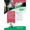 A VOGEL VENAFORCE TABLETS 30 TABLETS