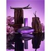 CALVIN KLEIN EUPHORIA BOLD ELIXIR 50ML EDP (PURPLE)