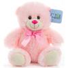NDA 25CM PINK  BLUE TEDDY BEAR