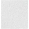 Zentia Arena Acoustic Mineral Fibre Ceiling Tile 1200 x 600mm Square Edge