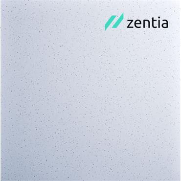 Zentia Arm Clean Room Clean Room Hygienic Ceiling Board