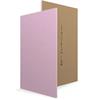 Gyproc Fire-Resistant Plasterboard Fireline Te 2700 x 1200 15mm Red (56)