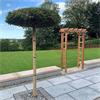 Devonshire Grand Arch Pergola