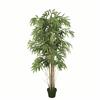 Bamboo Plants in Black Pot H150cm