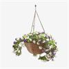 Petunias Bloom Regal Hanging Basket
