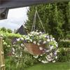 Petunias Bloom Regal Hanging Basket