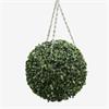 Boxwood Ball 40cm