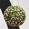 Topiary Pink Rose Ball 30cm