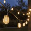 Low Voltage Vintage Festoon String Lights, Warm White - Set of 10