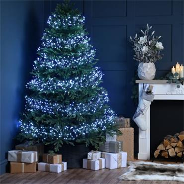 2000 Cluster Light - White Light /White Cable