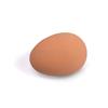 Imitation Nesting Egg