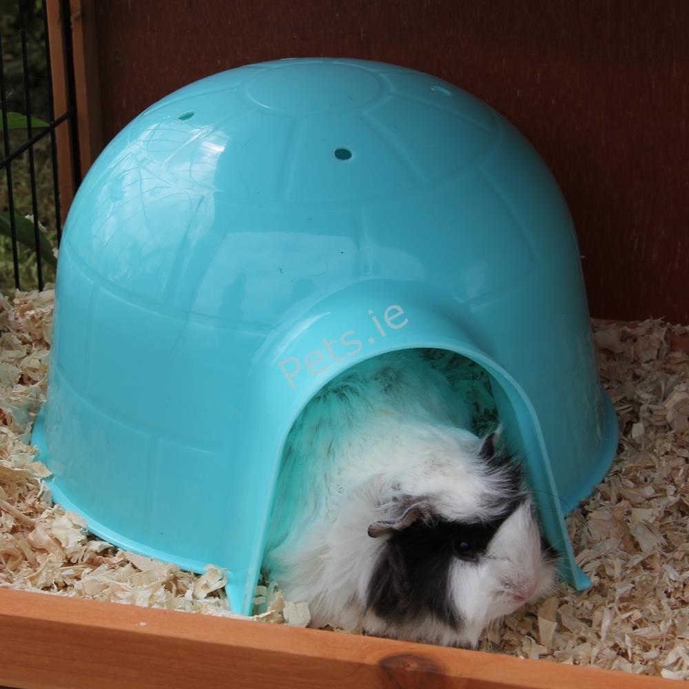 Guinea Pig Hide Out Pets.ie Ireland