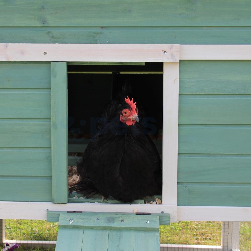 The Katie Chicken Coop With Run 4 Chickens Pets.ie Ireland