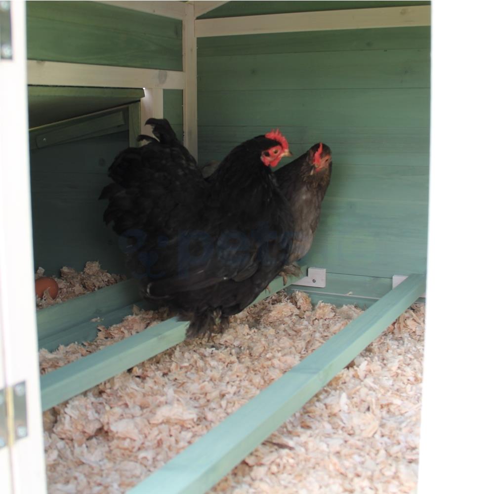 The Katie Chicken Coop With Run 4 Chickens Pets.ie Ireland