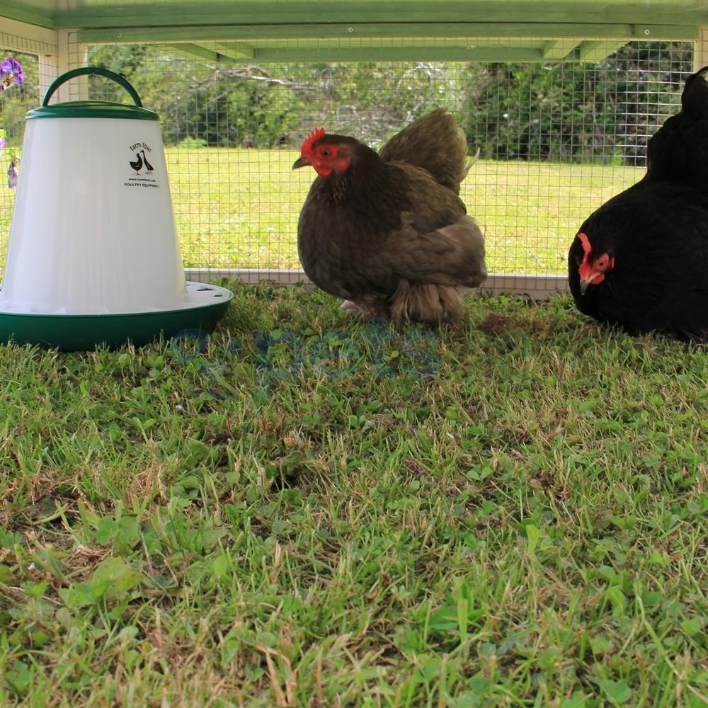 The Katie Chicken Coop With Run 4 Chickens Pets.ie Ireland